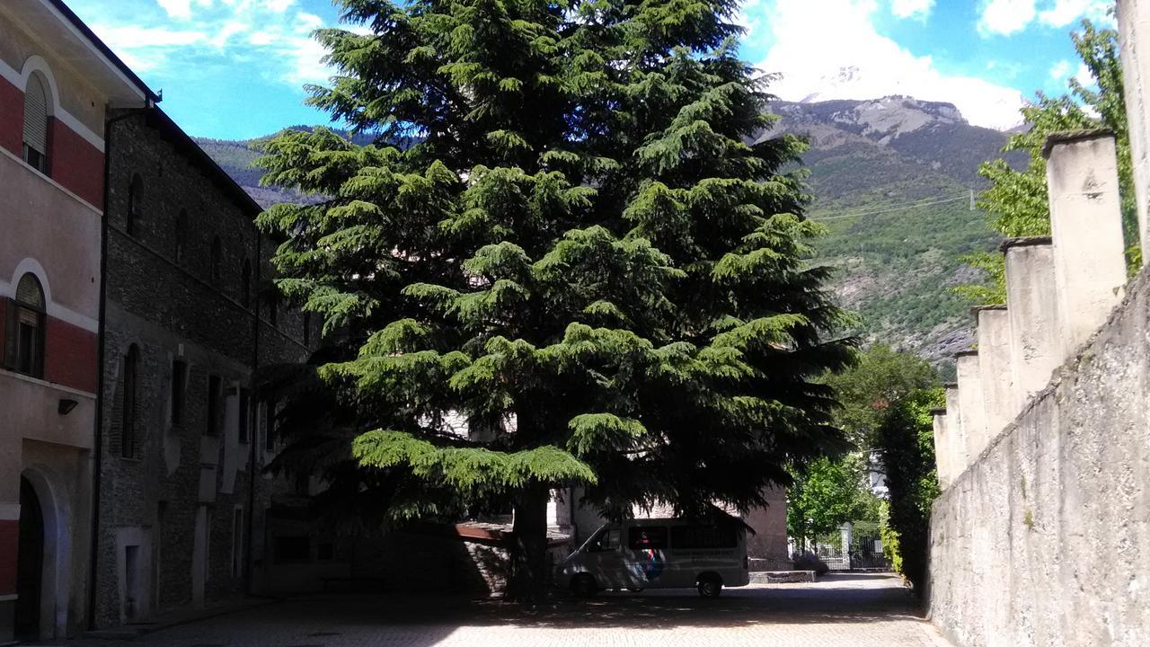 Casa Per Ferie San Francesco Hotel Susa Eksteriør billede