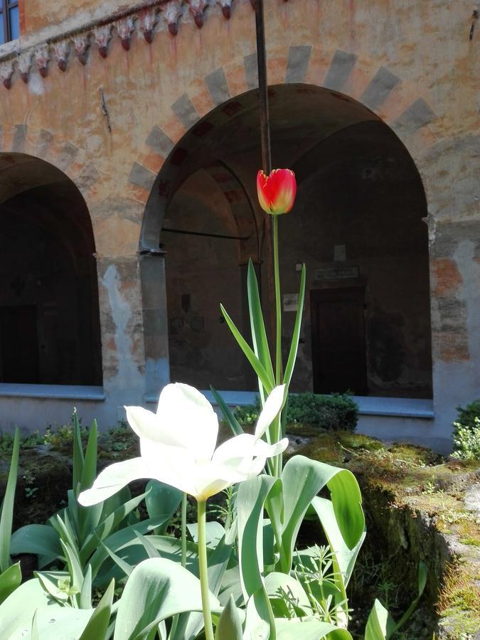 Casa Per Ferie San Francesco Hotel Susa Eksteriør billede